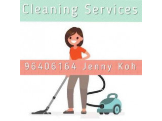 House Cleaning / Home Cleaning servise !!!