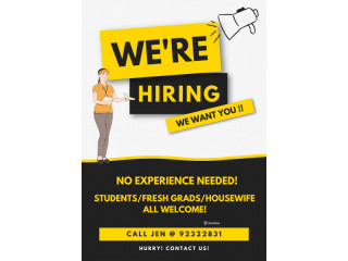 FLYER DISTRIBUTOR NEEDED! STUDENTS, HOUSEWIFE, PART TIMERS