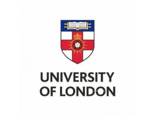 UOL POA Tuition | UOL First Class Tutor | Contact +65 96515438