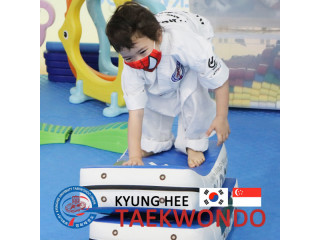 Kyunghee Taekwondo   Experience of Taekwondo Techniques