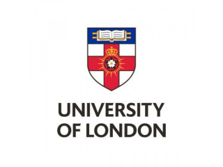 UOL PBF Tuition | Experienced UOL First Class Honours Graduate