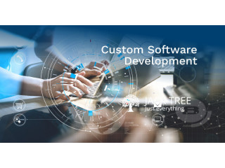 Custom Software Web  App Development