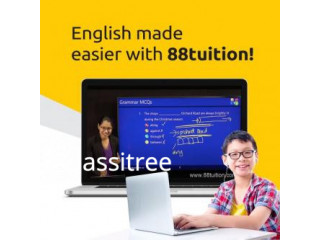 Best English Tuition Online - PSLE Students