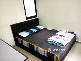 Master Bedroom with Aircon in 5Room HDB   Spacious & Quiet Surroundings  Move-in 15AUG