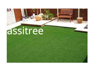 Affordable Grass Carpet Installation