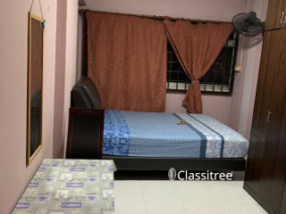 Two common room available for rent @ Choa Chu Kang Avenue 2 